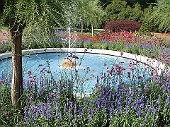 179 Longwood Gardens [2008 August 23]